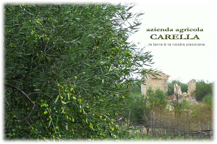 Azienda Agricola Carella - Sannicandro di Bari